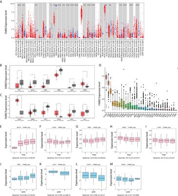 FAIM2 is a potential pan-cancer biomarker for prognosis and immune infiltration